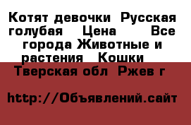 Котят девочки “Русская голубая“ › Цена ­ 0 - Все города Животные и растения » Кошки   . Тверская обл.,Ржев г.
